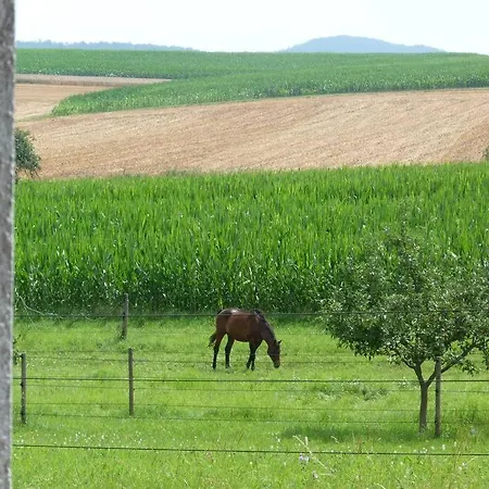 Bauernhof Schwaebtoskana - Saniert Maerz 2026